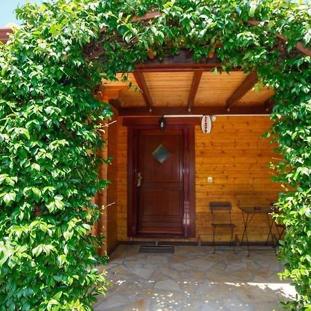Wooden House In Ioanninaアパートメント エクステリア 写真