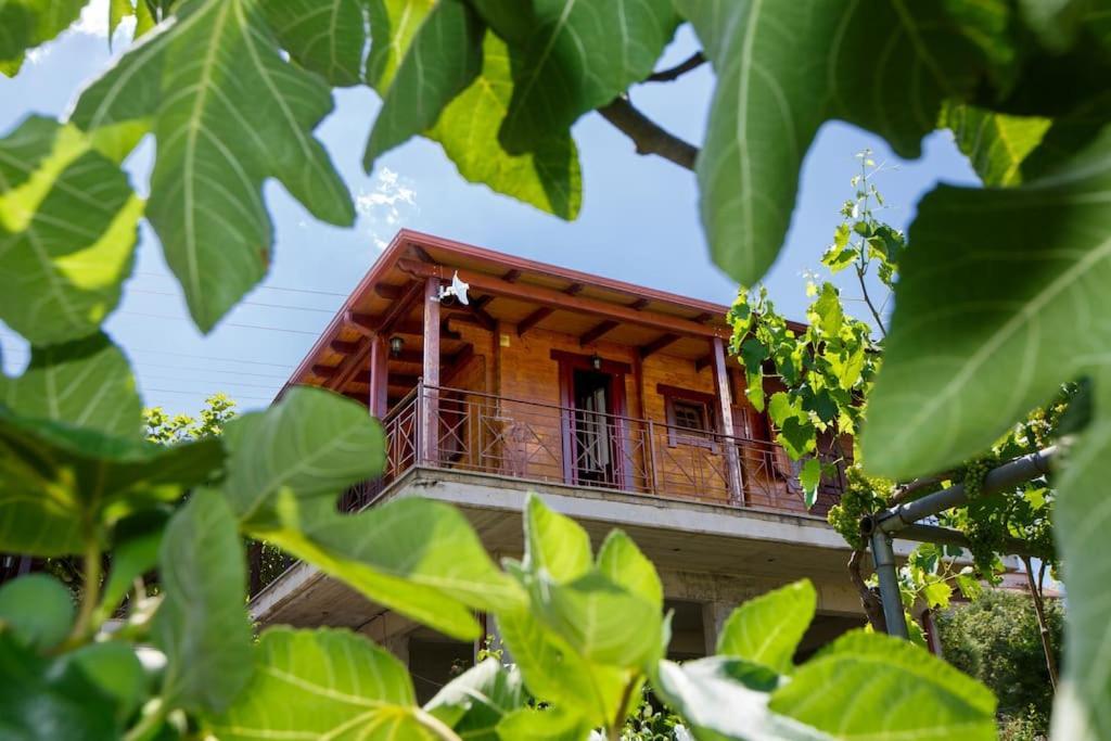 Wooden House In Ioanninaアパートメント エクステリア 写真