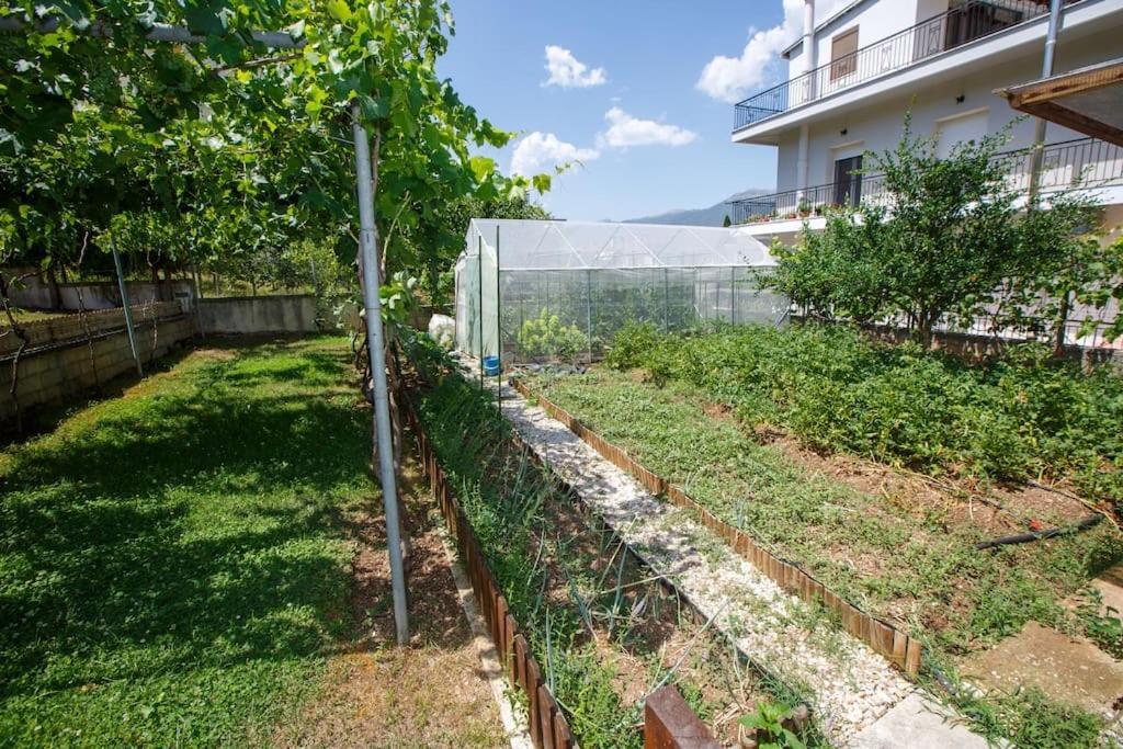 Wooden House In Ioanninaアパートメント エクステリア 写真