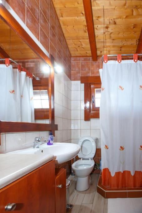 Wooden House In Ioanninaアパートメント エクステリア 写真
