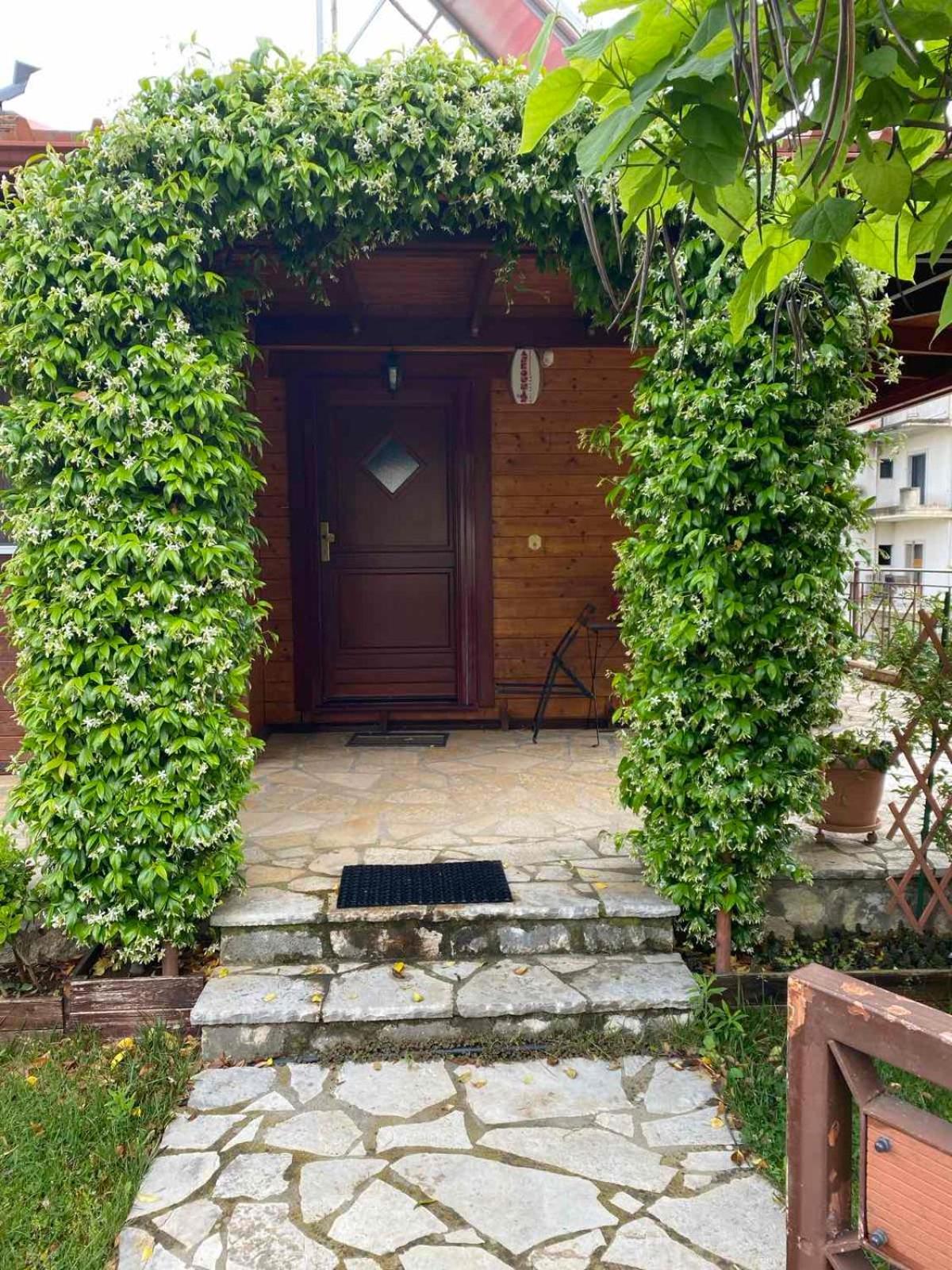 Wooden House In Ioanninaアパートメント エクステリア 写真