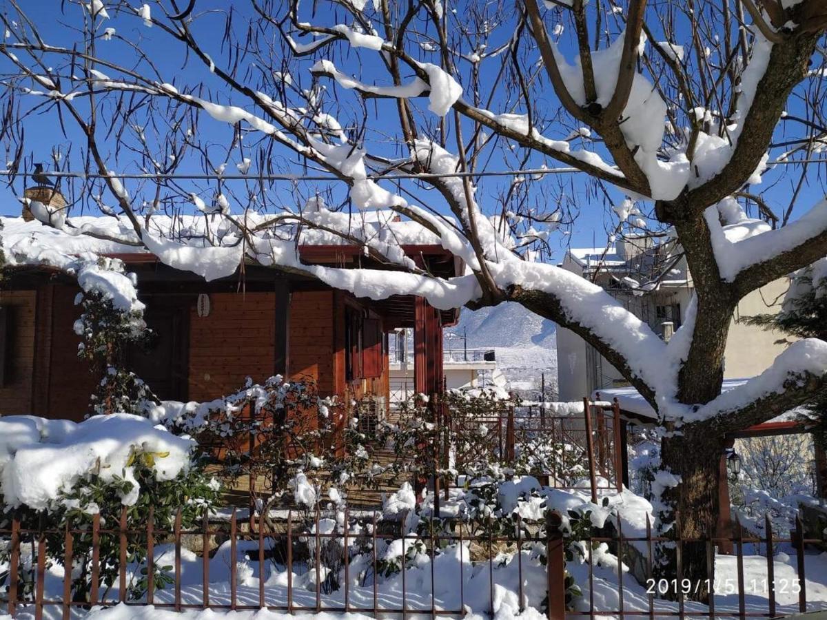 Wooden House In Ioanninaアパートメント エクステリア 写真