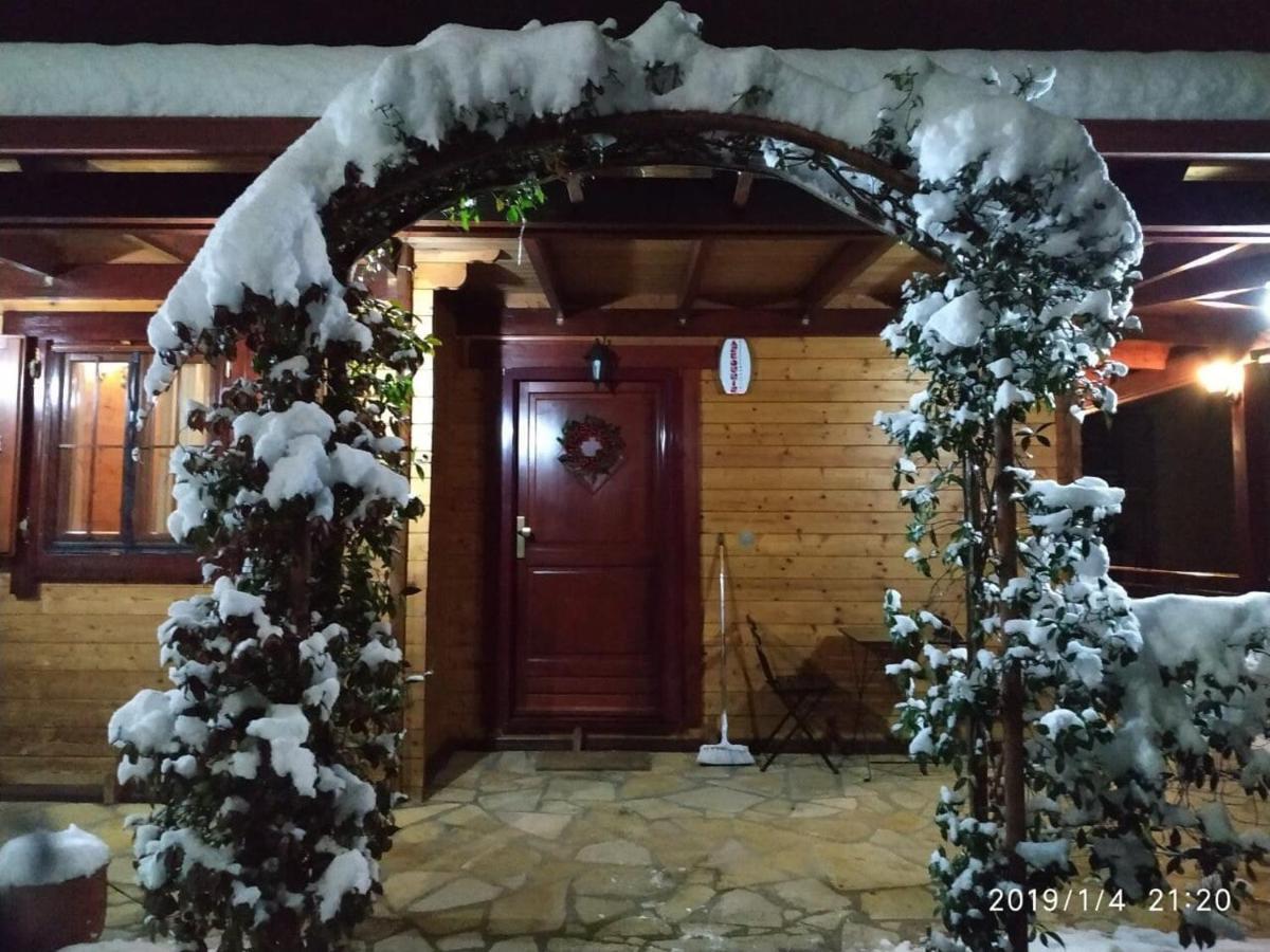 Wooden House In Ioanninaアパートメント エクステリア 写真