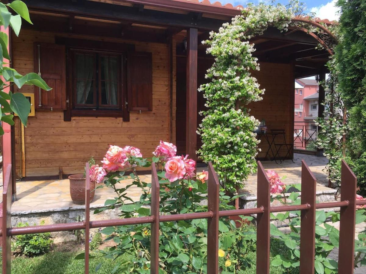 Wooden House In Ioanninaアパートメント エクステリア 写真