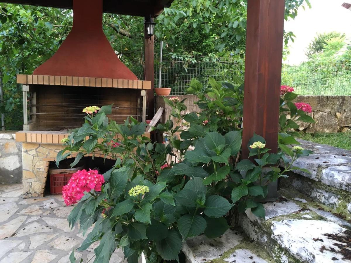 Wooden House In Ioanninaアパートメント エクステリア 写真