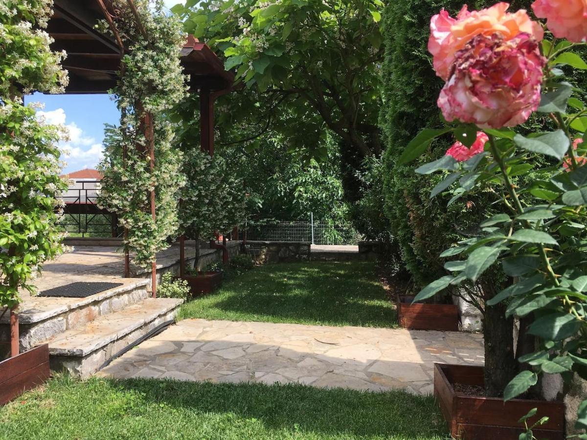 Wooden House In Ioanninaアパートメント エクステリア 写真